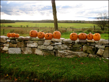eddyfarm